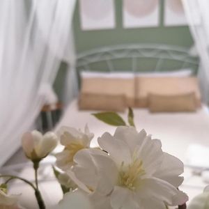 Camera standard con letto king size